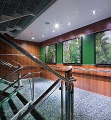 Oasis of the Seas